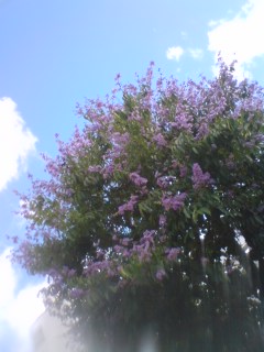 ただそこにいるだけで