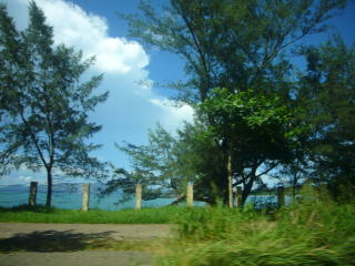 今日も興南応援団。