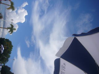 夏の思い出、いろいろ。