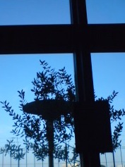 Close to the autum leaves