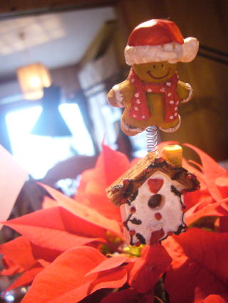 クリスマスの朝に・・・