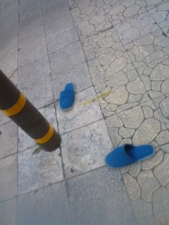 主は何処へ・・・