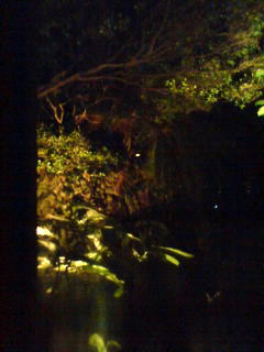 Liveのオシラセ！！！