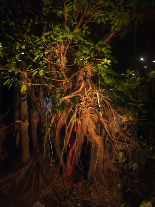 みーとぅーんじゃライヴありがとうございました！！！