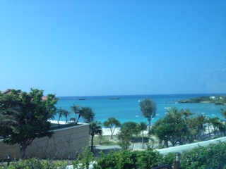 車窓からの眺め